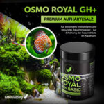 Osmo Royal GH+ Basic