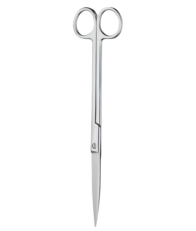 Chihiros Gerade Schere 21cm