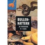 Bullennattern im Terrarium