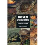 Dosenschildkröten im Terrarium