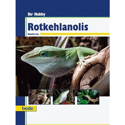 Rotkehlanolis, Ihr Hobby