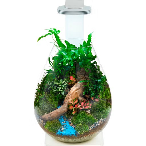 Chihiros Magnetic Light + Ständer + Bowl – Bild 2