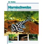 Harnischwelse, Ihr Hobby