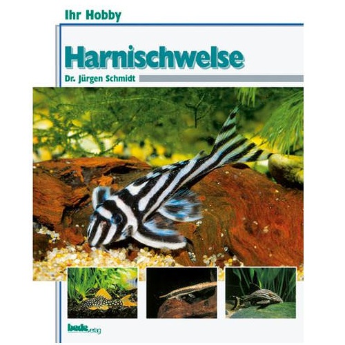 Harnischwelse, Ihr Hobby