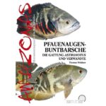 Pfauenaugenbuntbarsche, Die Gattung Astronotus und Verwandte
