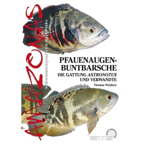 Pfauenaugenbuntbarsche, Die Gattung Astronotus und Verwandte