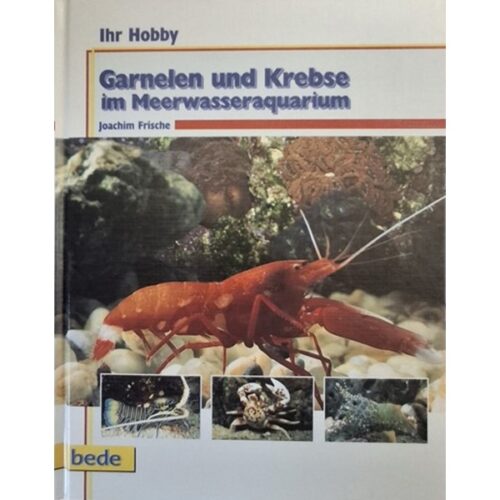 Garnelen und Krebse im Meerwasseraquarium, Ihr Hobby